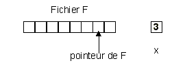 Avant exécution