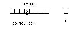 Avant exécution
