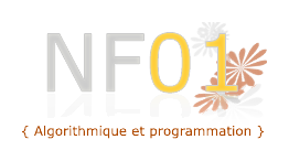 Logo NF01